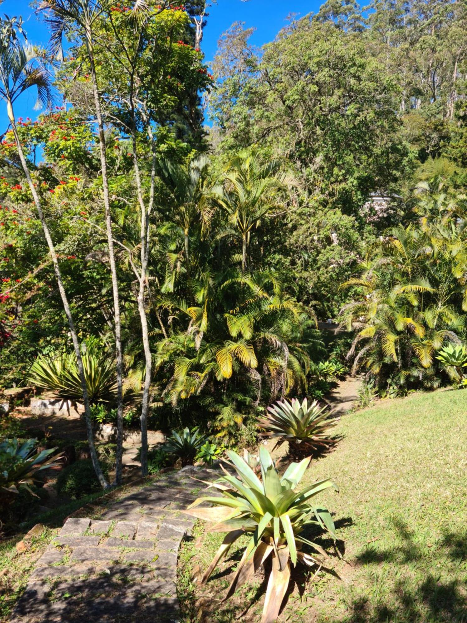 Carangola Petropolis (Rio de Janeiro)