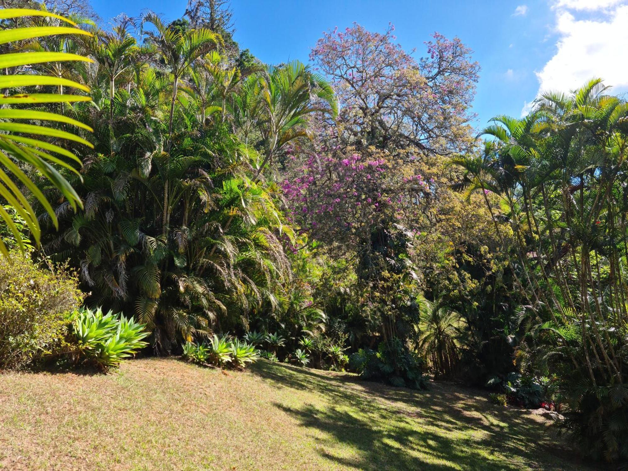 Homestay Carangola